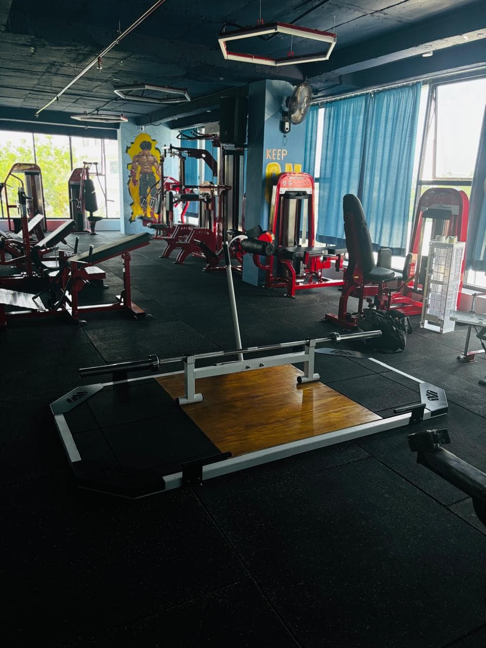 Gallery Image 12