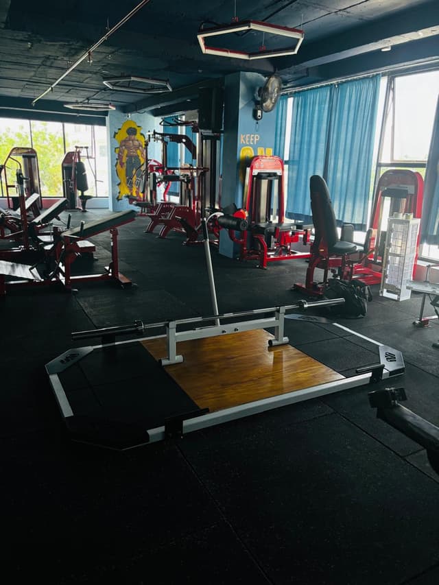 Gallery Image 12